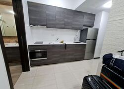 Sims Urban Oasis (D14), Condominium #454935441